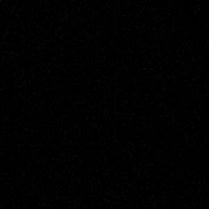 Meet your Posher, Kaley